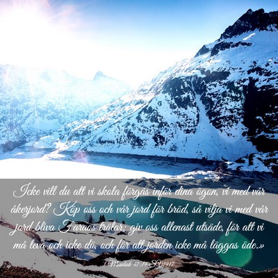 Picture 03 - 1 Mosebok 47:19 SV1917 - Icke vill du att vi skola förgås inför dina - Bible Verse Picture