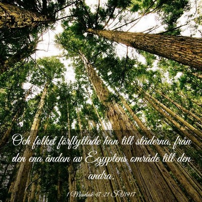 Picture 03 - 1 Mosebok 47:21 SV1917 - Och folket förflyttade han till städerna, från - Bible Verse Picture