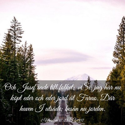 Picture 03 - 1 Mosebok 47:23 SV1917 - Och Josef sade till folket: »Se, jag har nu - Bible Verse Picture