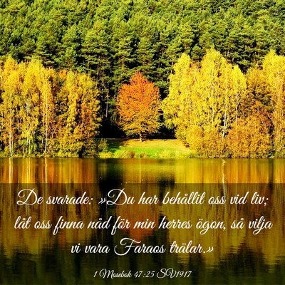 Picture 03 - 1 Mosebok 47:25 SV1917 - De svarade: »Du har behållit oss vid liv; låt - Bible Verse Picture