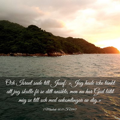 Picture 03 - 1 Mosebok 48:11 SV1917 - Och Israel sade till Josef: »Jag hade icke - Bible Verse Picture