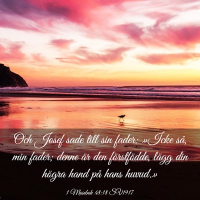 Picture 03 - 1 Mosebok 48:18 SV1917 - Och Josef sade till sin fader: »Icke så, min - Bible Verse Picture