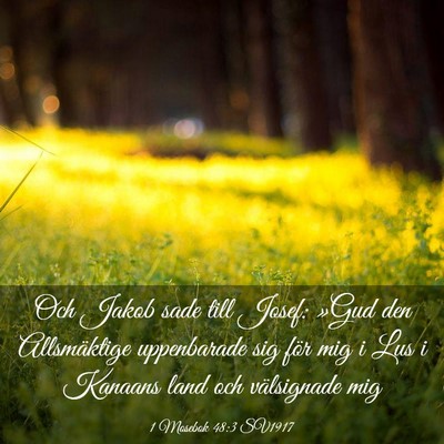 Picture 03 - 1 Mosebok 48:3 SV1917 - Och Jakob sade till Josef: »Gud den Allsmäktige - Bible Verse Picture