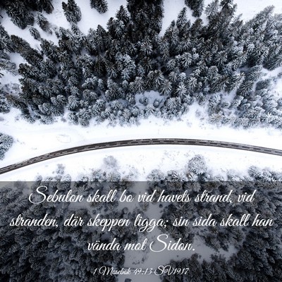 Picture 03 - 1 Mosebok 49:13 SV1917 - Sebulon skall bo vid havets strand, vid stranden, - Bible Verse Picture