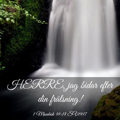 Picture 03 - 1 Mosebok 49:18 SV1917 - HERRE, jag bidar efter din - Bible Verse Picture