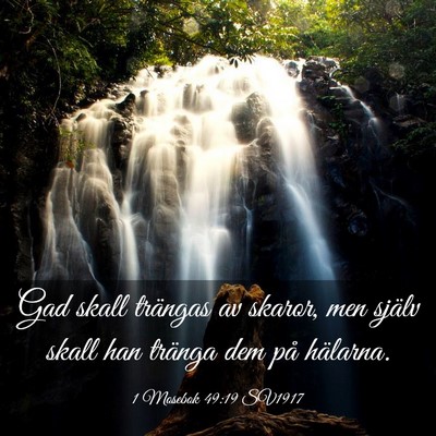 Picture 03 - 1 Mosebok 49:19 SV1917 - Gad skall trängas av skaror, men själv skall - Bible Verse Picture