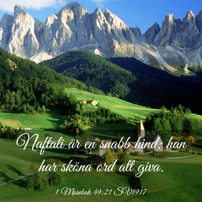 Picture 03 - 1 Mosebok 49:21 SV1917 - Naftali är en snabb hind; han har sköna ord att - Bible Verse Picture