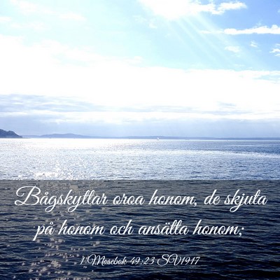 Picture 03 - 1 Mosebok 49:23 SV1917 - Bågskyttar oroa honom, de skjuta på honom och - Bible Verse Picture