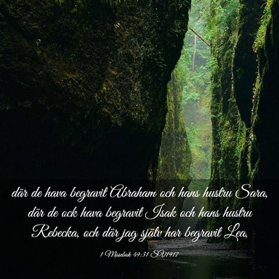Picture 03 - 1 Mosebok 49:31 SV1917 - där de hava begravit Abraham och hans hustru - Bible Verse Picture