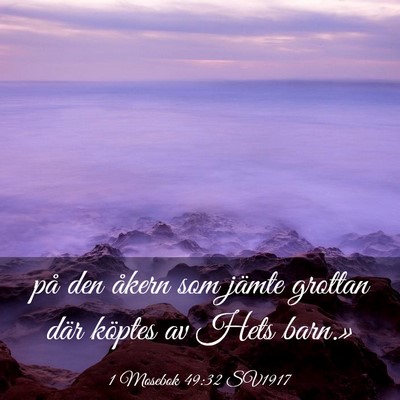 Picture 03 - 1 Mosebok 49:32 SV1917 - på den åkern som jämte grottan där köptes av - Bible Verse Picture