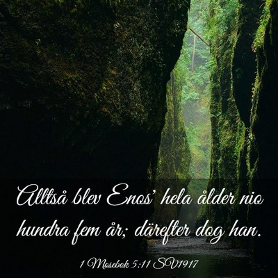 Picture 03 - 1 Mosebok 5:11 SV1917 - Alltså blev Enos' hela ålder nio hundra fem - Bible Verse Picture