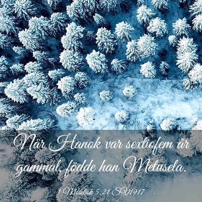 Picture 03 - 1 Mosebok 5:21 SV1917 - När Hanok var sextiofem år gammal, födde han - Bible Verse Picture