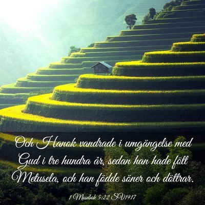 Picture 03 - 1 Mosebok 5:22 SV1917 - Och Hanok vandrade i umgängelse med Gud i tre - Bible Verse Picture