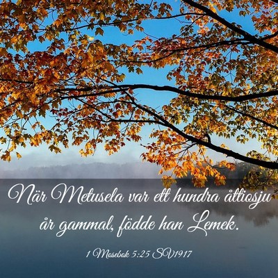 Picture 03 - 1 Mosebok 5:25 SV1917 - När Metusela var ett hundra åttiosju år - Bible Verse Picture