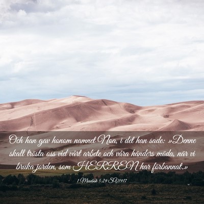 Picture 03 - 1 Mosebok 5:29 SV1917 - Och han gav honom namnet Noa, i det han sade: - Bible Verse Picture
