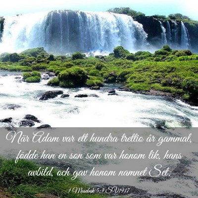 Picture 03 - 1 Mosebok 5:3 SV1917 - När Adam var ett hundra trettio år gammal, - Bible Verse Picture
