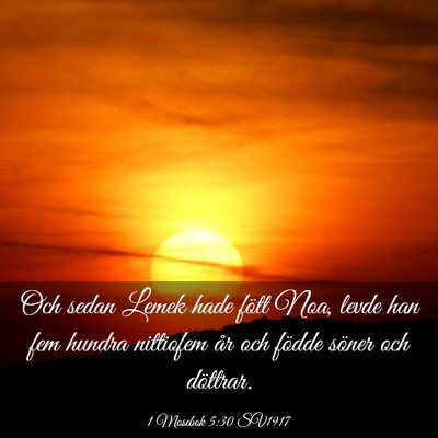 Picture 03 - 1 Mosebok 5:30 SV1917 - Och sedan Lemek hade fött Noa, levde han fem - Bible Verse Picture