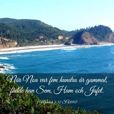 Picture 03 - 1 Mosebok 5:32 SV1917 - När Noa var fem hundra år gammal, födde han - Bible Verse Picture