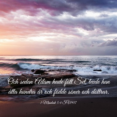 Picture 03 - 1 Mosebok 5:4 SV1917 - Och sedan Adam hade fött Set, levde han åtta - Bible Verse Picture