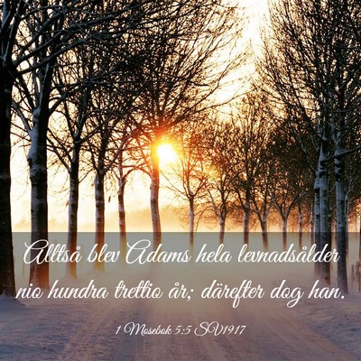 Picture 03 - 1 Mosebok 5:5 SV1917 - Alltså blev Adams hela levnadsålder nio hundra - Bible Verse Picture