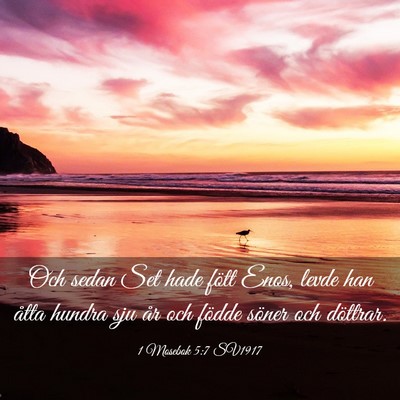 Picture 03 - 1 Mosebok 5:7 SV1917 - Och sedan Set hade fött Enos, levde han åtta - Bible Verse Picture
