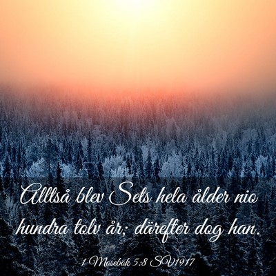 Picture 03 - 1 Mosebok 5:8 SV1917 - Alltså blev Sets hela ålder nio hundra tolv - Bible Verse Picture
