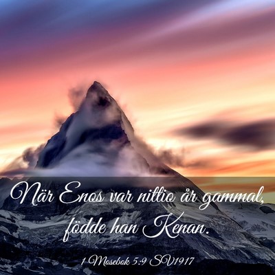 Picture 03 - 1 Mosebok 5:9 SV1917 - När Enos var nittio år gammal, födde han - Bible Verse Picture