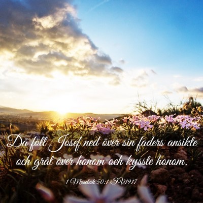 Picture 03 - 1 Mosebok 50:1 SV1917 - Då föll Josef ned över sin faders ansikte och - Bible Verse Picture