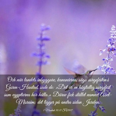 Picture 03 - 1 Mosebok 50:11 SV1917 - Och när landets inbyggare, kananéerna, sågo - Bible Verse Picture
