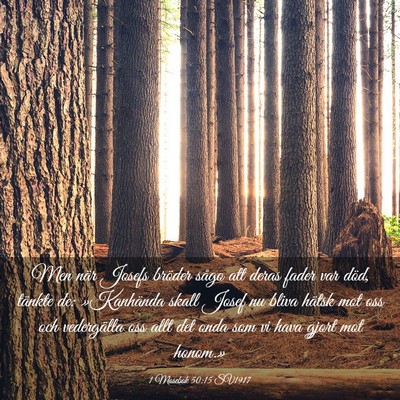 Picture 03 - 1 Mosebok 50:15 SV1917 - Men när Josefs bröder sågo att deras fader var - Bible Verse Picture