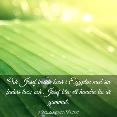Picture 03 - 1 Mosebok 50:22 SV1917 - Och Josef bodde kvar i Egypten med sin faders - Bible Verse Picture