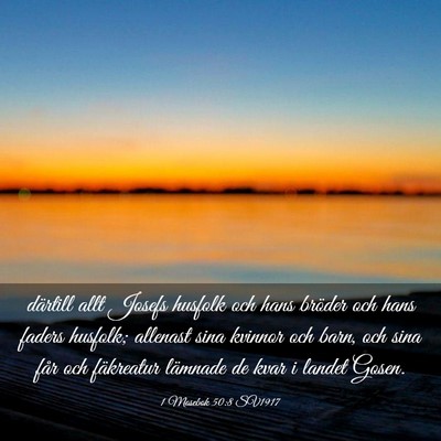 Picture 03 - 1 Mosebok 50:8 SV1917 - därtill allt Josefs husfolk och hans bröder och - Bible Verse Picture