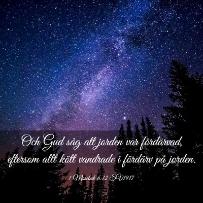 Picture 03 - 1 Mosebok 6:12 SV1917 - Och Gud såg att jorden var fördärvad, eftersom - Bible Verse Picture