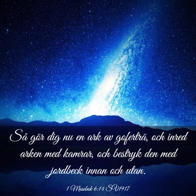 Picture 03 - 1 Mosebok 6:14 SV1917 - Så gör dig nu en ark av goferträ, och inred - Bible Verse Picture
