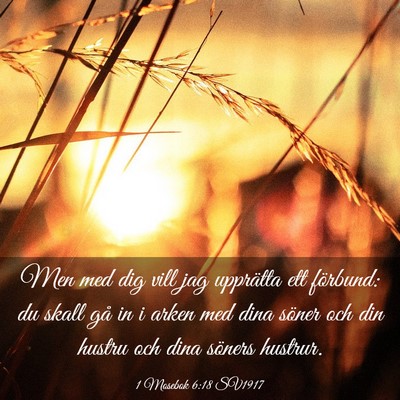 Picture 03 - 1 Mosebok 6:18 SV1917 - Men med dig vill jag upprätta ett förbund: du - Bible Verse Picture