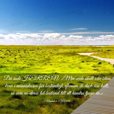 Picture 03 - 1 Mosebok 6:3 SV1917 - Då sade HERREN: »Min ande skall icke bliva kvar - Bible Verse Picture