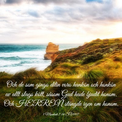 Picture 03 - 1 Mosebok 7:16 SV1917 - Och de som gingo ditin voro hankön och honkön - Bible Verse Picture