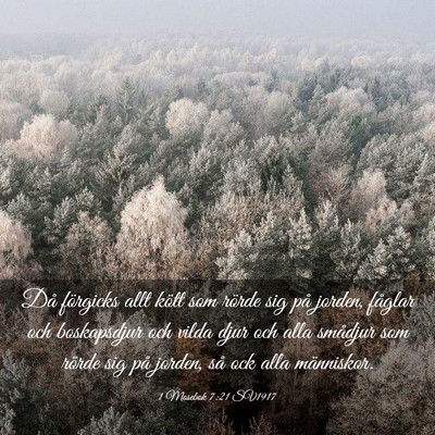 Picture 03 - 1 Mosebok 7:21 SV1917 - Då förgicks allt kött som rörde sig på - Bible Verse Picture