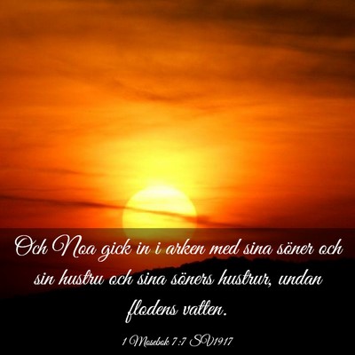 Picture 03 - 1 Mosebok 7:7 SV1917 - Och Noa gick in i arken med sina söner och sin - Bible Verse Picture
