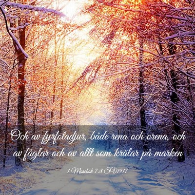 Picture 03 - 1 Mosebok 7:8 SV1917 - Och av fyrfotadjur, både rena och orena, och av - Bible Verse Picture