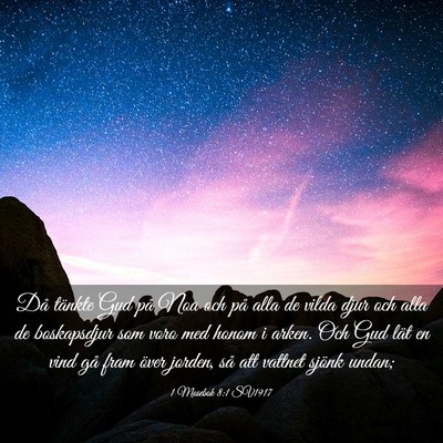 Picture 03 - 1 Mosebok 8:1 SV1917 - Då tänkte Gud på Noa och på alla de vilda - Bible Verse Picture