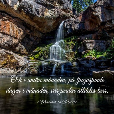 Picture 03 - 1 Mosebok 8:14 SV1917 - Och i andra månaden, på tjugusjunde dagen i - Bible Verse Picture