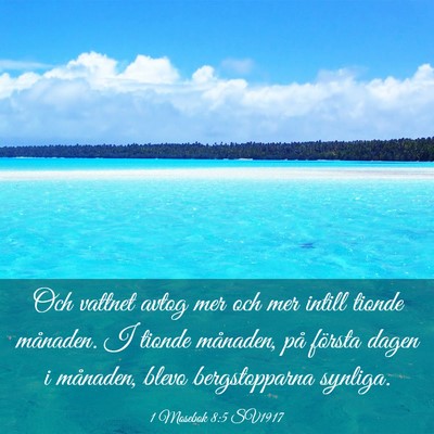 Picture 03 - 1 Mosebok 8:5 SV1917 - Och vattnet avtog mer och mer intill tionde - Bible Verse Picture