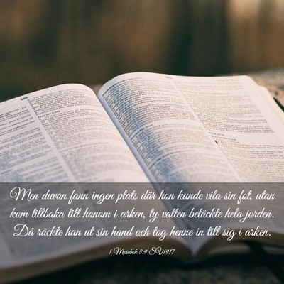 Picture 03 - 1 Mosebok 8:9 SV1917 - Men duvan fann ingen plats där hon kunde vila - Bible Verse Picture