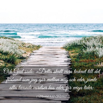 Picture 03 - 1 Mosebok 9:12 SV1917 - Och Gud sade: »Detta skall vara tecknet till det - Bible Verse Picture