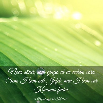 Picture 03 - 1 Mosebok 9:18 SV1917 - Noas söner, som gingo ut ur arken, voro Sem, Ham - Bible Verse Picture