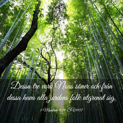 Picture 03 - 1 Mosebok 9:19 SV1917 - Dessa tre voro Noas söner och från dessa hava - Bible Verse Picture