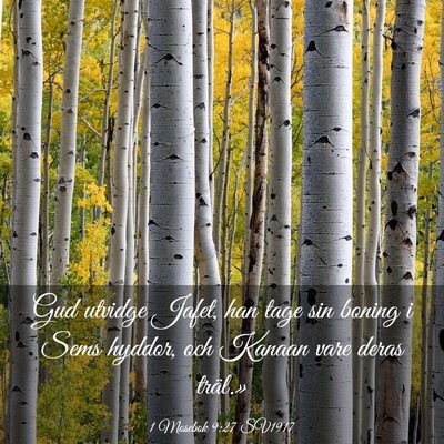 Picture 03 - 1 Mosebok 9:27 SV1917 - Gud utvidge Jafet, han tage sin boning i Sems - Bible Verse Picture