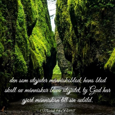 Picture 03 - 1 Mosebok 9:6 SV1917 - den som utgjuter människoblod, hans blod skall - Bible Verse Picture