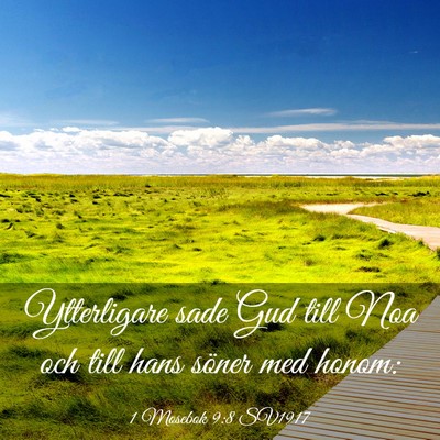 Picture 03 - 1 Mosebok 9:8 SV1917 - Ytterligare sade Gud till Noa och till hans - Bible Verse Picture